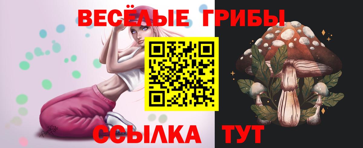 Галлюциногенные грибы ЛСД  Вход с VPN  Черногорск  Псилоцибиновые грибы ЛСД 